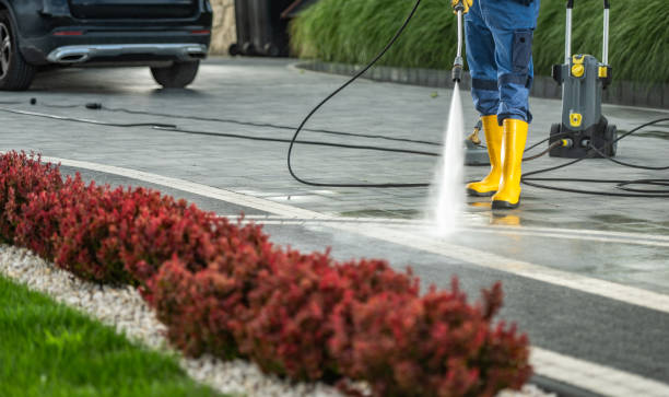 Best Roof Power Washing Services  in Homer, GA